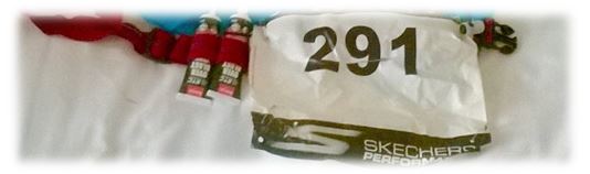 Fuel belt 1